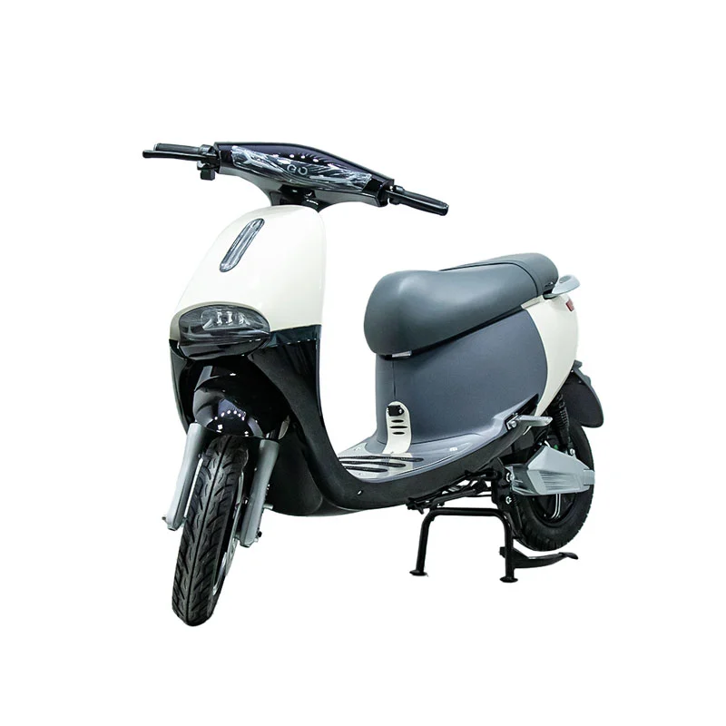 Elektrická motorka s motocyklom 10 palcov 1 000 W